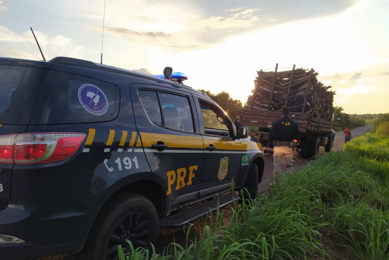 PRF apreende caminhão transportando carga ilegal de madeira nativa