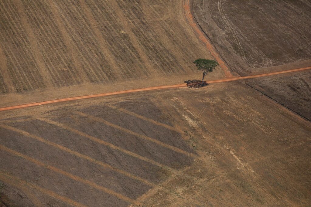 MPTO Investiga Desmatamento Superior A 5 Mil Hectares Ao Longo De Rio