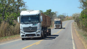 Mais de 32 mil motoristas precisam renovar exame toxicológico no TO
