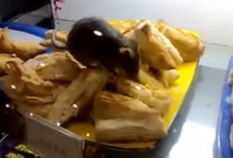 Vídeo: Rato 'rouba' Big Mac e é flagrado fugindo em rua do Reino Unido
