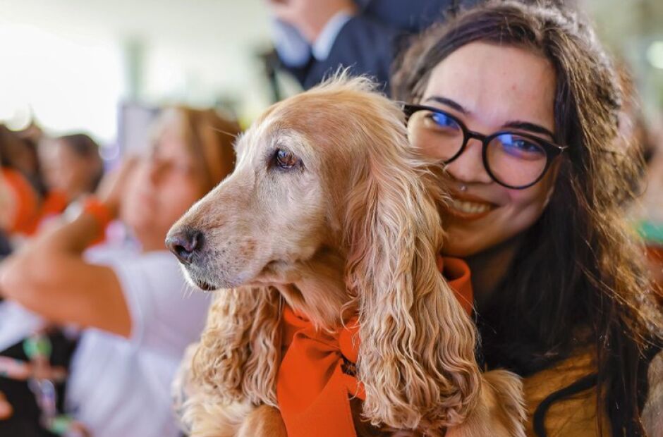 Cães e gatos agora podem ter RG gratuito; saiba como cadastrar seu pet 
