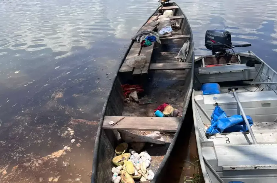 PMTO resgata mais de 3 mil tartarugas-da-amaz&ocirc;nia em a&ccedil;&atilde;o no Rio Java&eacute;s