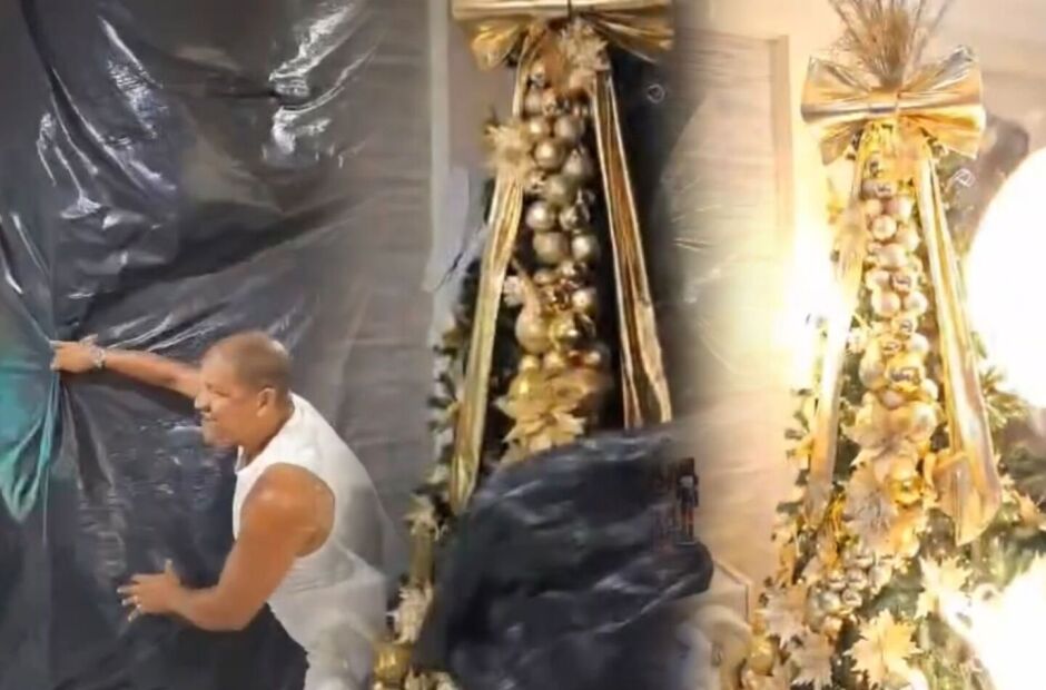 "Ch&aacute; Revela&ccedil;&atilde;o" de &aacute;rvore de Natal viraliza e conquista internautas