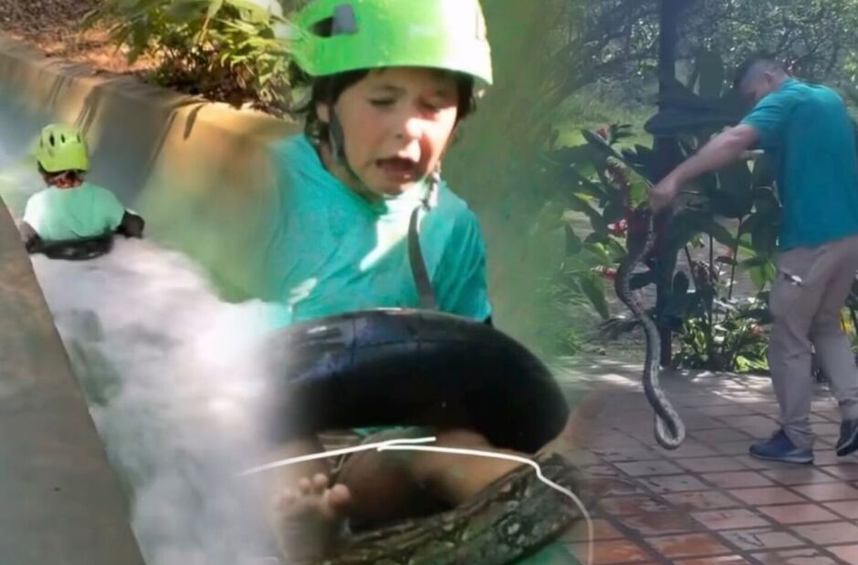 V&iacute;deo de crian&ccedil;a descendo tobo&aacute;gua com cobra viraliza e divide opini&otilde;es 