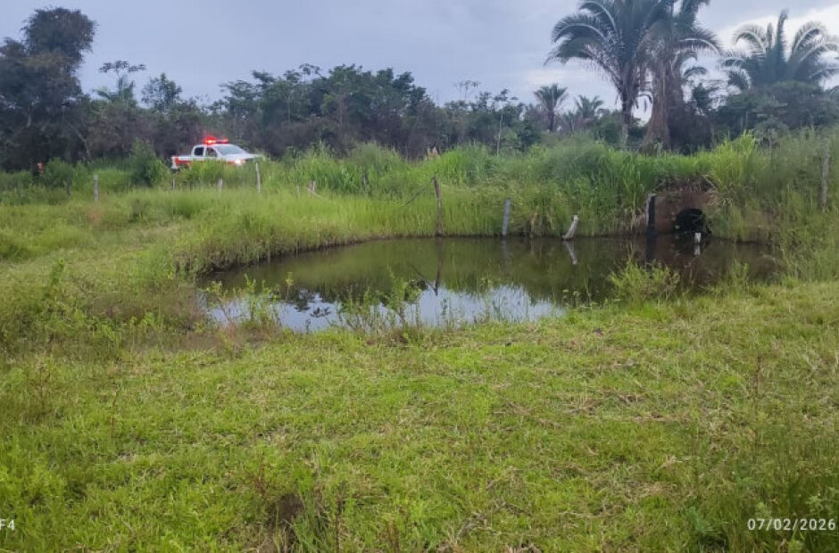 Ataque de abelhas mata idoso e deixa dois feridos em Aragua&iacute;na 