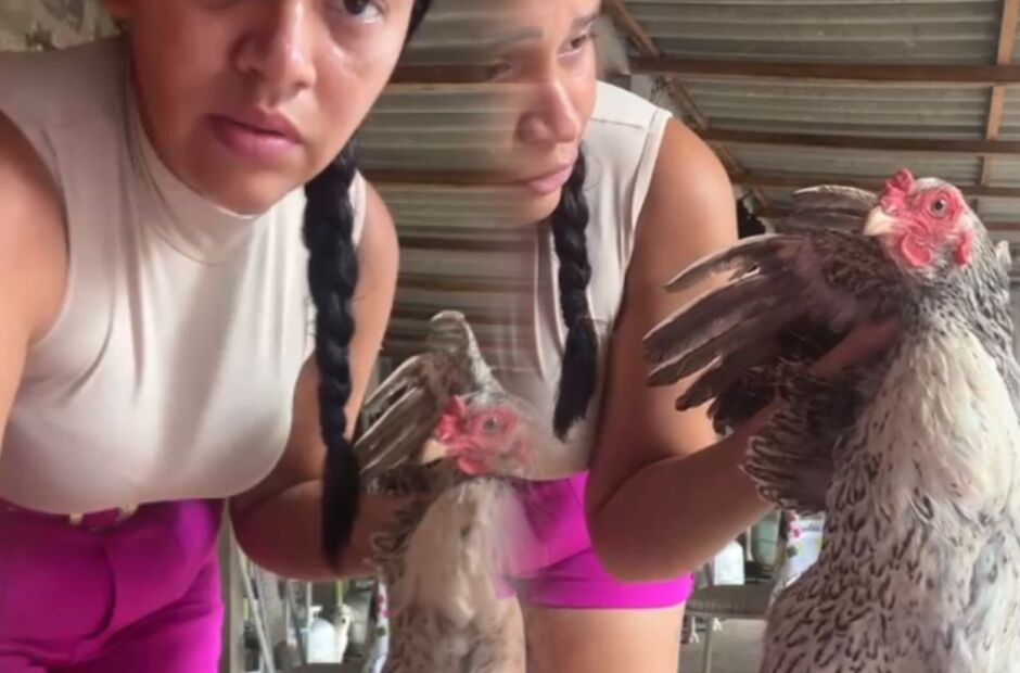 Mulher pede desculpa para galinha dada como garantia em d&iacute;vida 